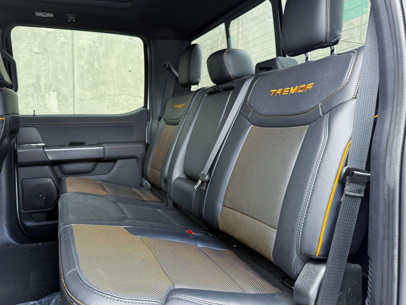 2025 FORD Lobo Tremor - SEATS_REAR